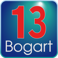Bogart 13 Silver Windows, license